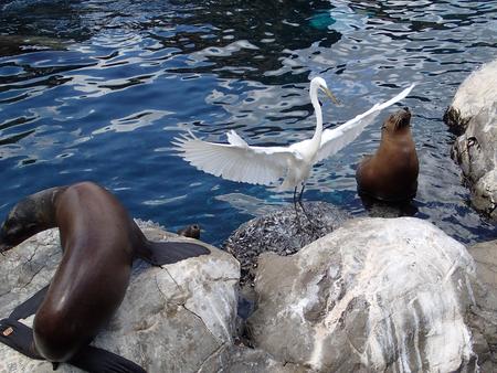 Look at me, look at me!