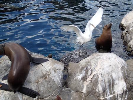 Look at me, look at me! #2