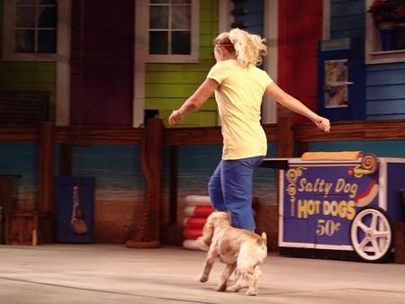 Pets Ahoy show