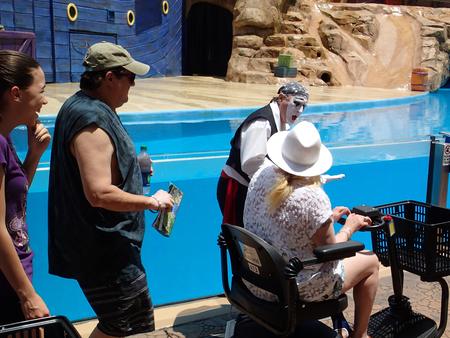 Sea lion show #2