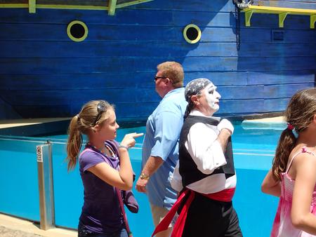 Sea lion show #3
