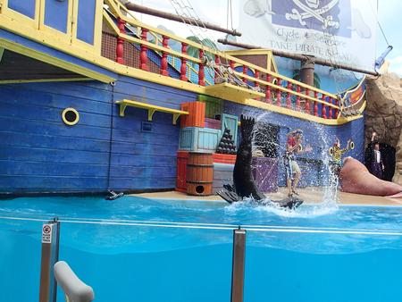 Sea lion show #12