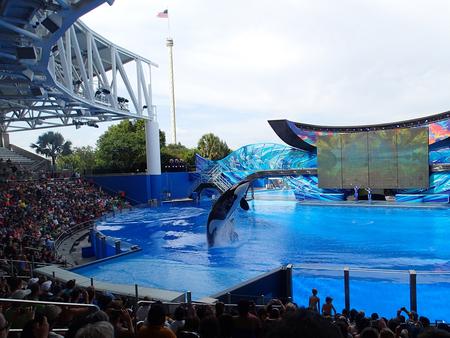 Whale show #4