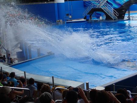 Splash zone #2
