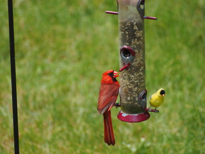 Olympus E-M5, 70-300mm lens, 600mm equivalent focal length