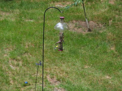 Olympus E-5, EC-14, 50-200mm lens, 140mm equivalent focal length