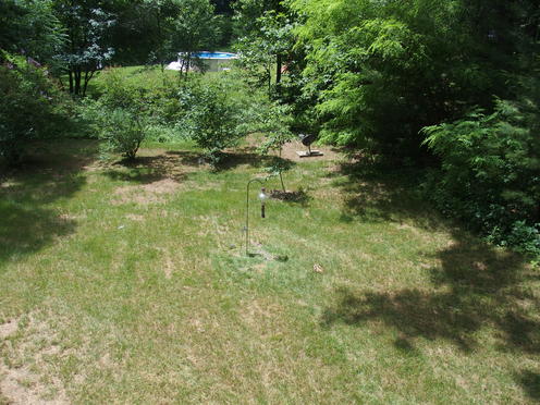 Olympus Stylus-1. no tcon-17, 28mm equivalent focal length