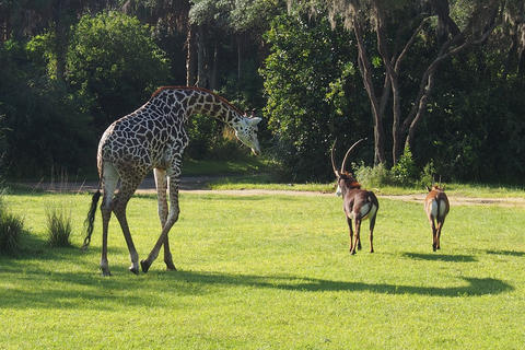 Hey guys, come back!