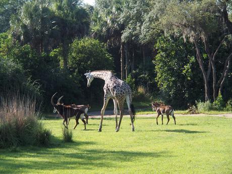 Hey guys, come back! #2