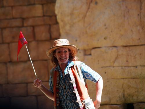 Flights of Wonder bird show #15