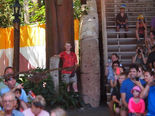 Flights of Wonder bird show #23