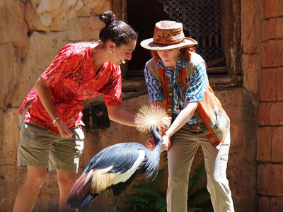 Flights of Wonder bird show #41