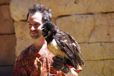 Flights of Wonder bird show #42