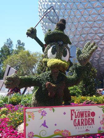 Welcome to the Flower and Garden festival