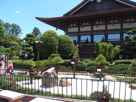 Japanese garden
