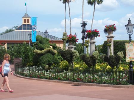 Hippos and ostriches #3