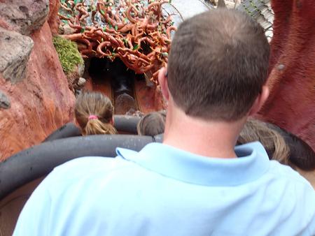 Splash Mountain #9