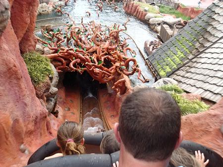 Splash Mountain #10