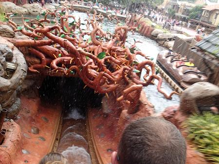 Splash Mountain #12