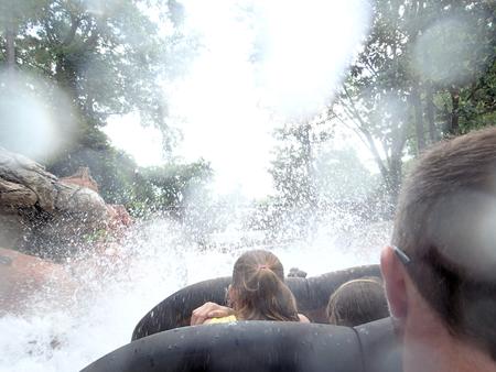 Splash Mountain #16