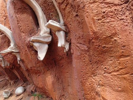 Big Thunder Mountain ride #11