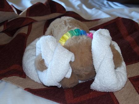 Natala as Princess Leia