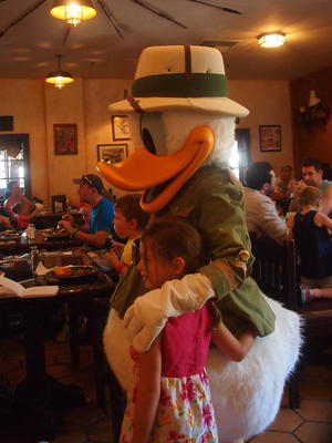 Safari Donald Duck #2