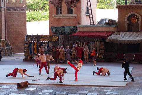 Indiana Jones Stunt Show #8