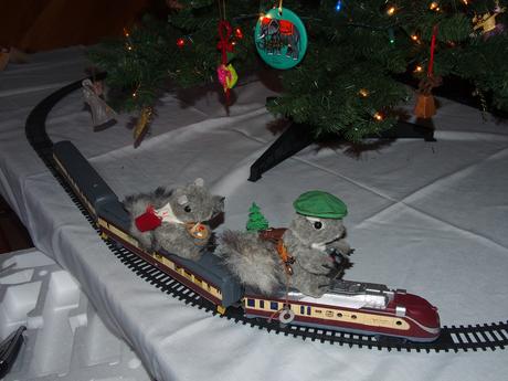 Squirrel train