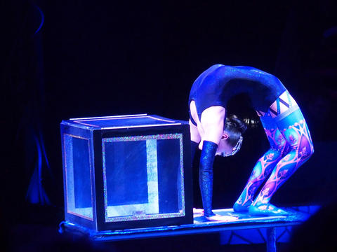 Contortionist (Odbasayakh)