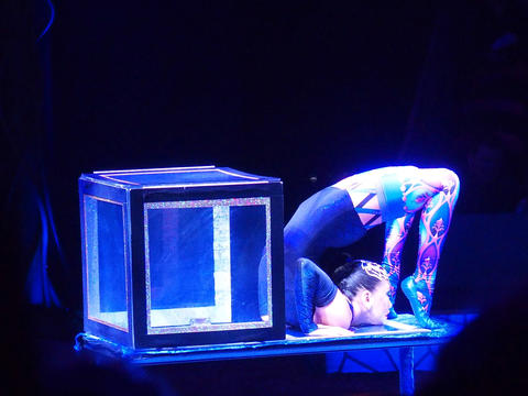 Contortionist (Odbasayakh) #2