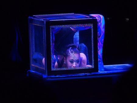 Contortionist (Odbasayakh) #4