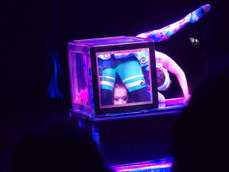 Contortionist (Odbasayakh & Tatevik Seyranyan) #4