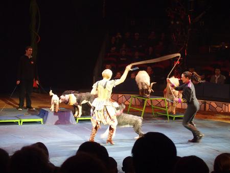 animal act (Jenny Vidbel) #3