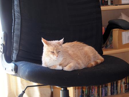 Is he taking my picture once again?