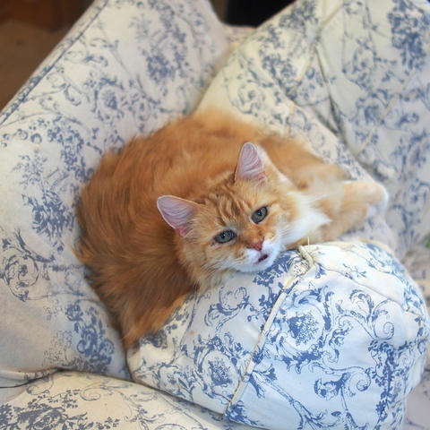 Why are you bothering me?