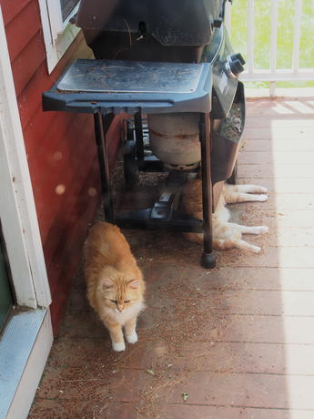 I'm ready to come in now