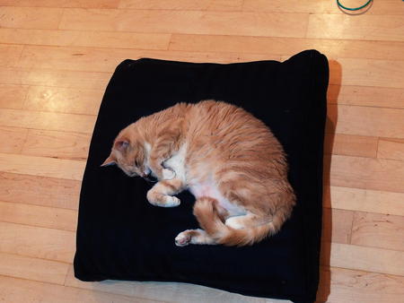 Aerosmith on his throne