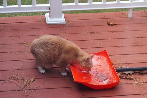 Outdoor water supply #2