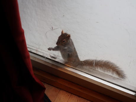 That looks warmer than out here