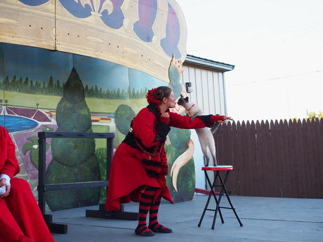 Cirque du Sewer at the finale