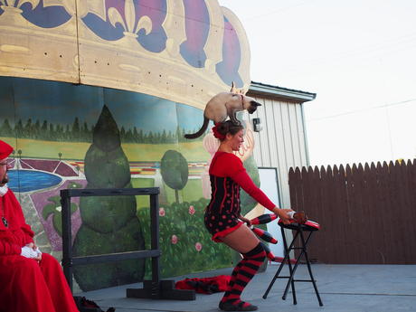 Cirque du Sewer at the finale #4