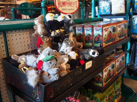 Nutzo and Racky find some friends