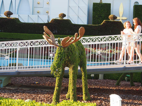 Deer topiary