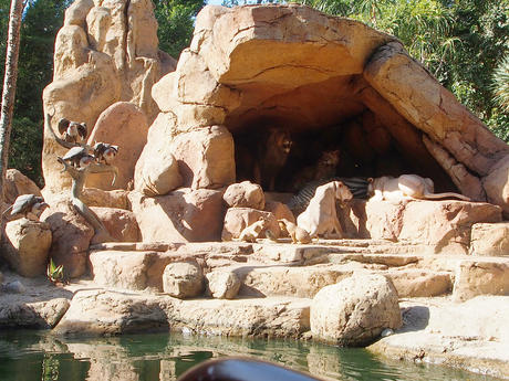 Dinner at the lions #2