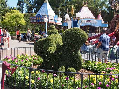 Dumbo topiary