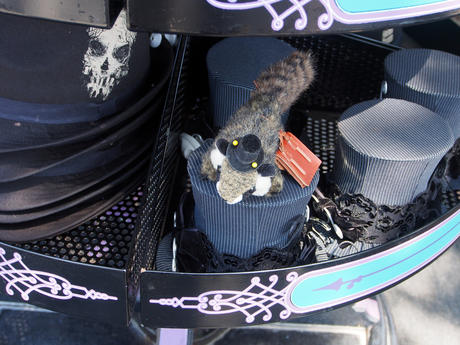 Racky looks for larger top hats