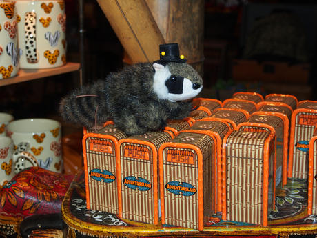 Racky visits adventureland