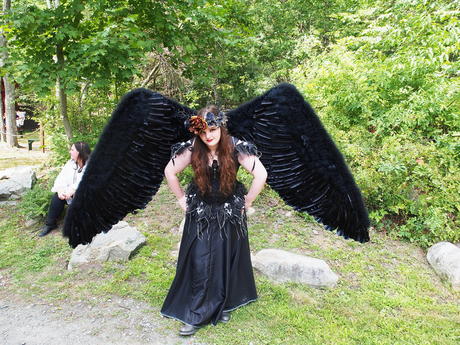 Black faerie
