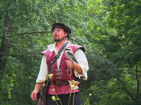 Royal Falconer and his birds